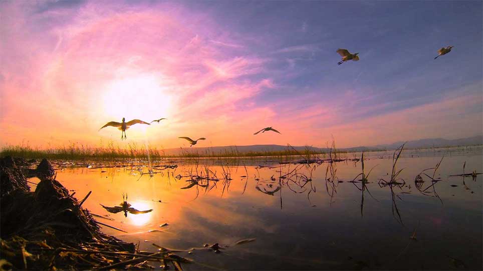 Slideshow Image
